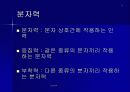 surface 6페이지