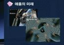 애플의 성장 전략 39페이지