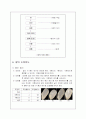 쌀의 도정공정 6페이지