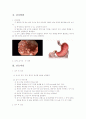 상부 위장관 조영술 (Upper Gastrointestinal, U.G.I series) 4페이지