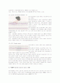 심전도 기본 - 부정맥의 이해 13페이지