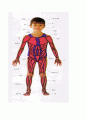 우리몸,뼈 교구제작 6페이지