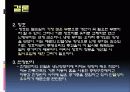 환경실험(열) 30페이지