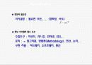 물류정보론 유통정보시스템 사례 3페이지