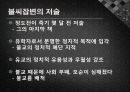 정도전의 ‘불씨잡변’ 10페이지