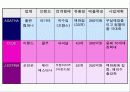 패션 주얼리 시장의 현황조사 9페이지