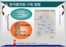 친환경 상품 판매촉진을 위한 방안(전국적 협의체 구성 방안) 13페이지