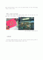 슈스케(슈퍼스타K)의 마케팅전략,성공요인,사회적파급력,오디션프로그램 위대한탄생과의 비교분석 15페이지
