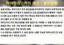 하이브리드카조사 9페이지