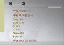 습식식각 2페이지