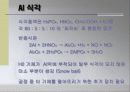 습식식각 10페이지