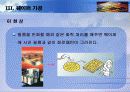 반도체제조공정 12페이지