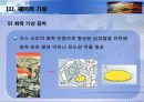 반도체제조공정 15페이지