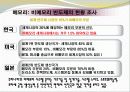 반도체시장의 동향 24페이지