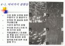 84 화합물 반도체 공정 [2조] 성장기술 (HVPE,LPE) 27페이지