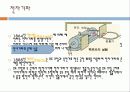 전자기파 -형광등, 전자레인지, 오로라 11페이지