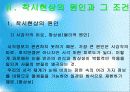 73착시현상 4페이지