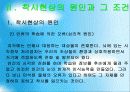 73착시현상 5페이지