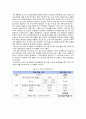 삼성지펠 zipel  미국진출위한 마케팅전략분석 28페이지