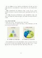 봄봄 광고계획서 13페이지