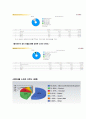 구글 크롬(google chrome)의 주요기능, 특징, 전략분석, 소비자선호도, 위협과 기회요인 5페이지