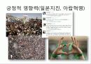 SNS 소셜네트워크 사회적 영향력, 현황, 전략, 정치적, 정치인의 긍정적, 부정적 사례 5페이지