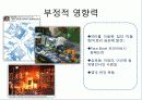 SNS 소셜네트워크 사회적 영향력, 현황, 전략, 정치적, 정치인의 긍정적, 부정적 사례 6페이지