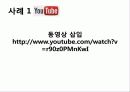 SNS 소셜네트워크 사회적 영향력, 현황, 전략, 정치적, 정치인의 긍정적, 부정적 사례 28페이지