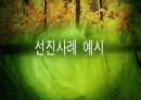 유통업 현황분석 12페이지
