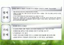 유통업 현황분석 29페이지