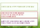유통업 현황분석 36페이지