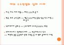 수돗물 민영화 - 수도 정책의 문제점과 전망 8페이지