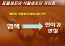 [생물학실험] 세포의 관찰 6페이지