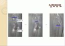 액체의 점성도 측정 13페이지