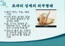 초파리 5페이지