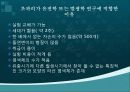 초파리 7페이지
