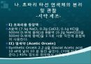 초파리 25페이지