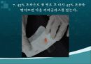 초파리 31페이지