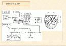 표면 경화법(침탄, 질화) 4페이지