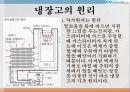 냉장고 10페이지
