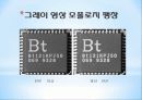 Chapter 10. 모폴로지 12페이지