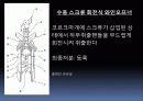 BIG BANG (시장,특허 조사 & 설계사양) 6페이지