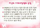 미국의 사회복지 7페이지