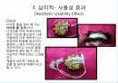 [디자인개론] Universal Design Principal (내가 정한 5가지 법칙) 7페이지