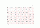 [독후감(원고지 형식)] '눈먼 자들의 도시(Blindness)'를 읽고 13페이지