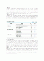 [경영이해] 대한항공 경영전략분석 14페이지
