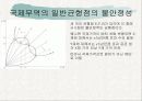 [국제 무역론] Offer 곡선 6페이지