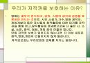 저작권 6페이지