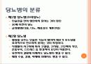 당뇨 3페이지