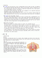 암 (癌/cancer) - 암의 정의, 대장암, 위암, 폐암, 암환자의 운동방법 15페이지